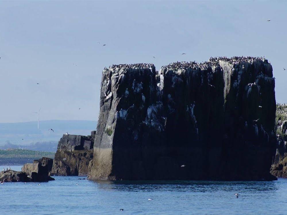سيهاوسز Farne Island Rooms المظهر الخارجي الصورة